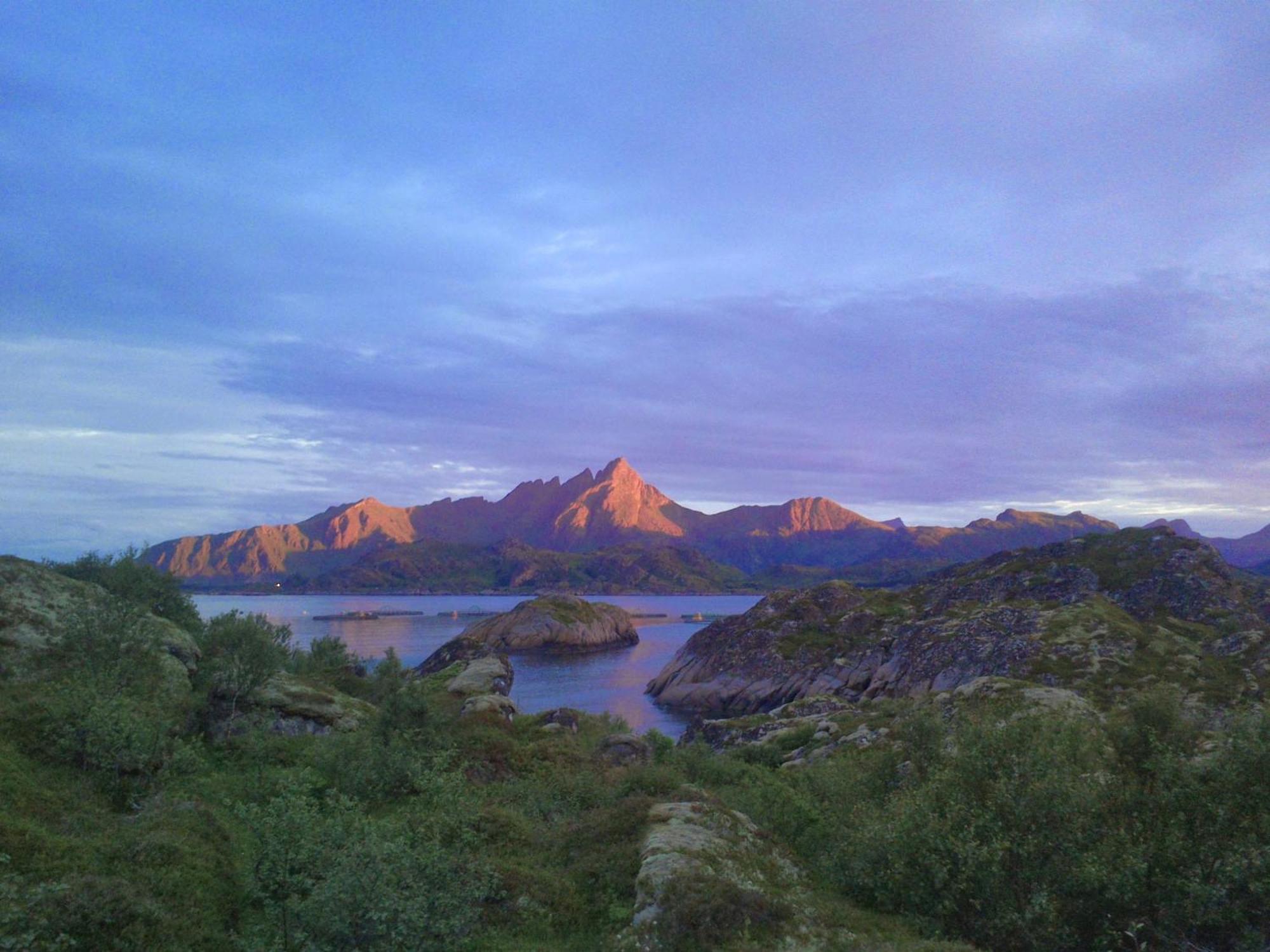Unique Private Cabin In Lofoten Leknes Exteriör bild