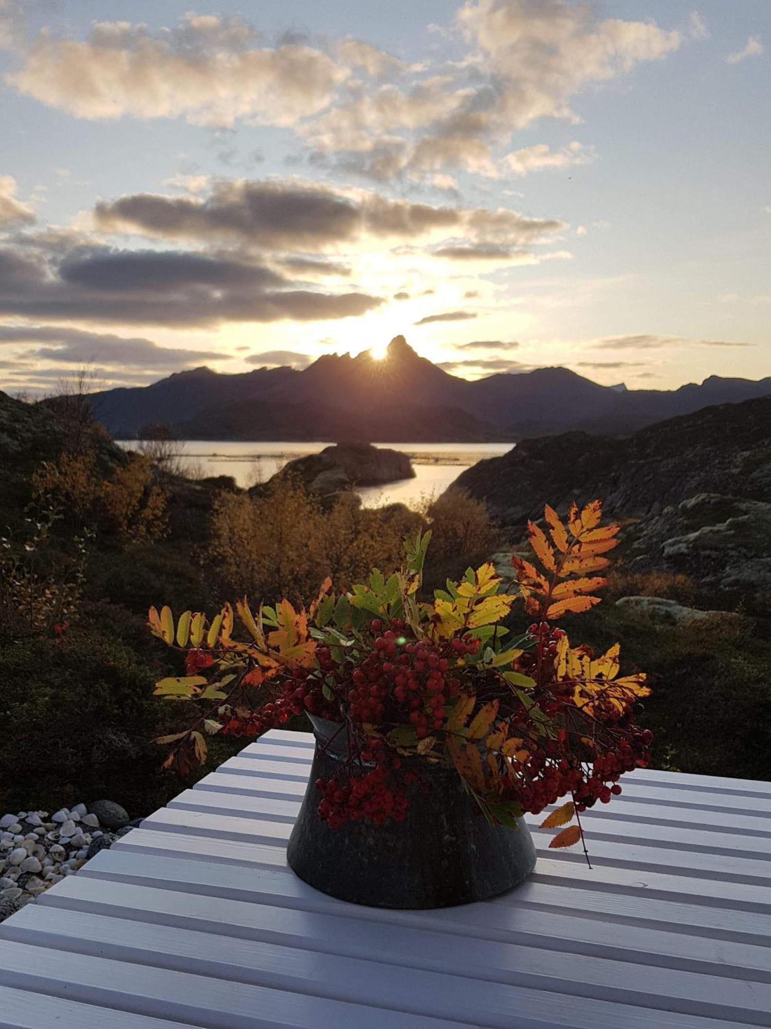 Unique Private Cabin In Lofoten Leknes Exteriör bild