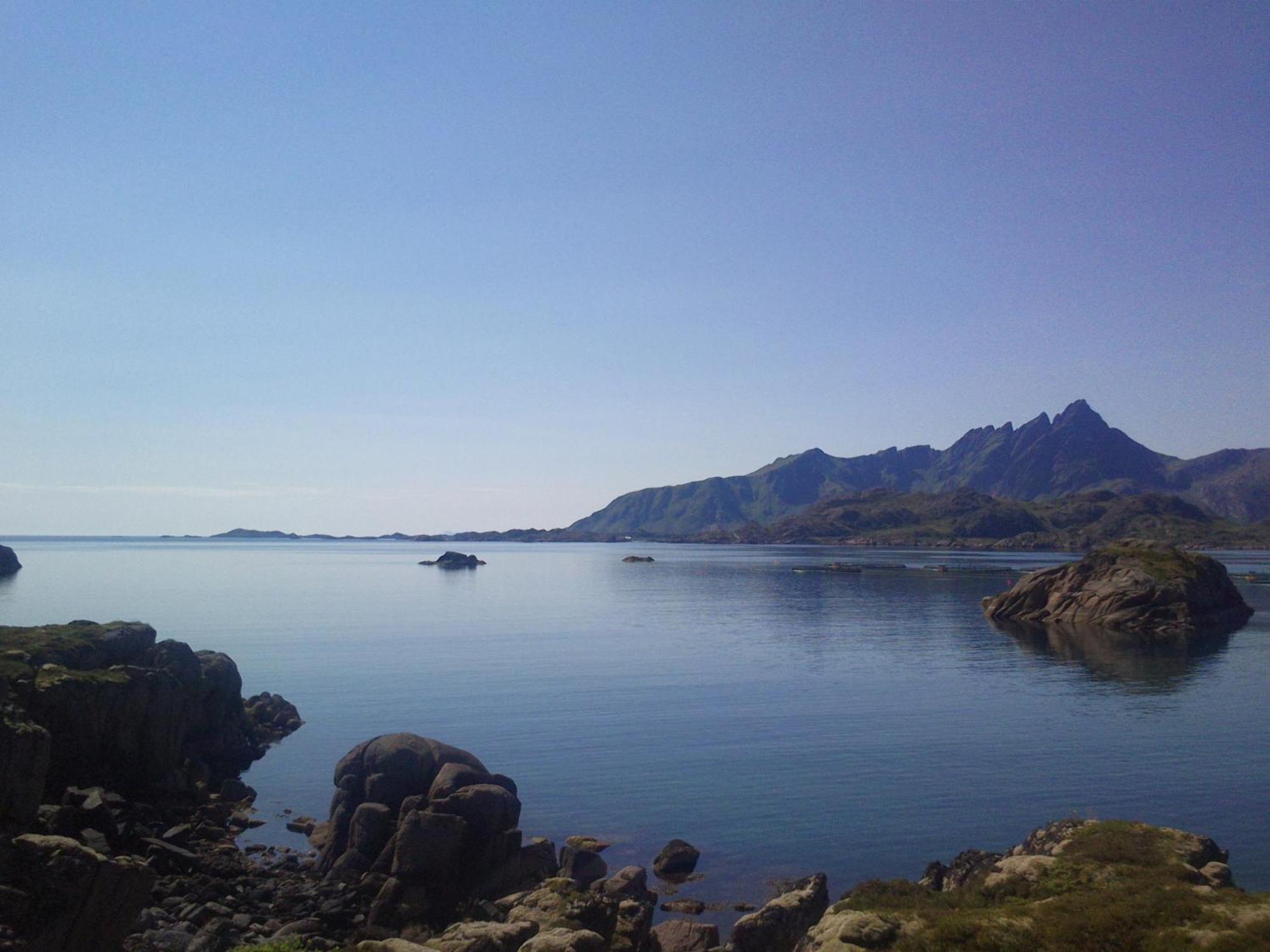 Unique Private Cabin In Lofoten Leknes Exteriör bild